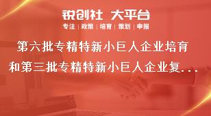 第六批專精特新小巨人企業(yè)培育和第三批專精特新小巨人企業(yè)復(fù)核工作推薦要求獎(jiǎng)補(bǔ)政策