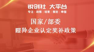 國家/部委瞪羚企業(yè)認定獎補政策