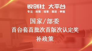 國(guó)家/部委首臺(tái)套首批次首版次認(rèn)定獎(jiǎng)補(bǔ)政策