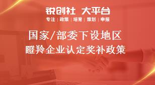 國家/部委下設地區(qū)瞪羚企業(yè)認定獎補政策