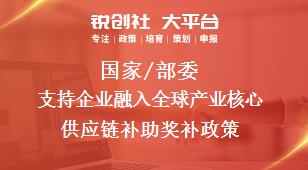 國家/部委支持企業(yè)融入全球產(chǎn)業(yè)核心供應(yīng)鏈補助獎補政策