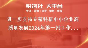 進一步支持專精特新中小企業(yè)高質量發(fā)展2024年第一批工作要求獎補政策