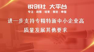 進(jìn)一步支持專精特新中小企業(yè)高質(zhì)量發(fā)展其他要求獎(jiǎng)補(bǔ)政策