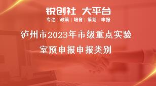 瀘州市2023年市級重點實驗室預(yù)申報申報類別獎補(bǔ)政策