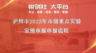 瀘州市2023年市級重點實驗室預(yù)申報申報流程獎補政策