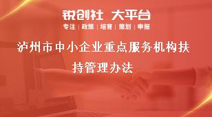 瀘州市中小企業(yè)重點服務機構扶持管理辦法獎補政策