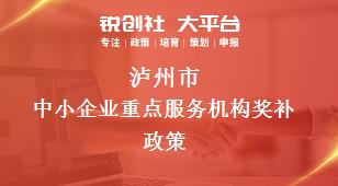 瀘州市中小企業(yè)重點服務機構相關配套獎補政策