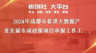 2024年成都市促進(jìn)大數(shù)據(jù)產(chǎn)業(yè)發(fā)展專項政策項目申報工作工作要求獎補政策