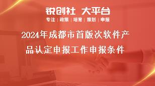 2024年成都市首版次軟件產(chǎn)品認(rèn)定申報(bào)工作申報(bào)條件獎(jiǎng)補(bǔ)政策