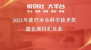 2021年度巴中市科學技術獎提名項目匯總表獎補政策