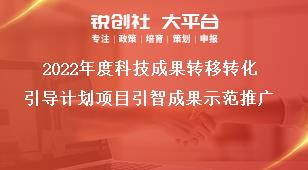 2022年度科技成果轉(zhuǎn)移轉(zhuǎn)化引導(dǎo)計劃項目引智成果示范推廣獎補政策