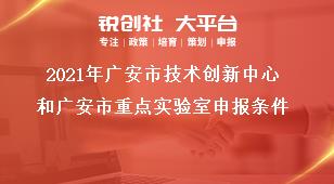 2021年廣安市技術(shù)創(chuàng)新中心和廣安市重點實驗室申報條件獎補政策