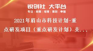 2021年眉山市科技計(jì)劃-重點(diǎn)研發(fā)項(xiàng)目（重點(diǎn)研發(fā)計(jì)劃）支持范圍獎(jiǎng)補(bǔ)政策