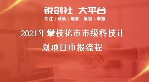 2021年攀枝花市市級科技計劃項目申報流程獎補政策