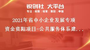 2021年省中小企業(yè)發(fā)展專項資金資陽項目-公共服務(wù)體系建設(shè)補助標(biāo)準(zhǔn)獎補政策