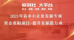 2021年省中小企業(yè)發(fā)展專項(xiàng)資金資陽(yáng)項(xiàng)目-提升發(fā)展能力項(xiàng)目資料要求獎(jiǎng)補(bǔ)政策