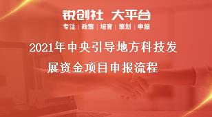 2021年中央引導(dǎo)地方科技發(fā)展資金項(xiàng)目申報(bào)流程獎(jiǎng)補(bǔ)政策