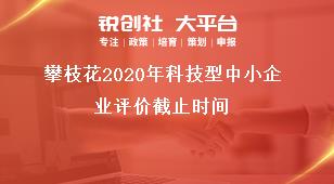 攀枝花2020年科技型中小企業(yè)評(píng)價(jià)截止時(shí)間獎(jiǎng)補(bǔ)政策