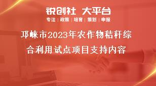 邛崍市2023年農(nóng)作物秸稈綜合利用試點項目支持內(nèi)容獎補政策