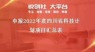 申報2022年度四川省科技計劃項目匯總表獎補政策