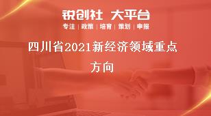 四川省2021新經(jīng)濟領(lǐng)域重點方向獎補政策