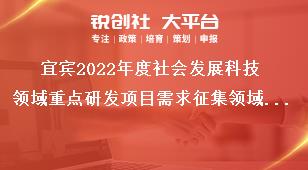 宜賓2022年度社會發(fā)展科技領(lǐng)域重點研發(fā)項目需求征集領(lǐng)域及范圍獎補(bǔ)政策