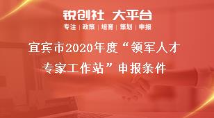 宜賓市2020年度“領(lǐng)軍人才專家工作站”申報(bào)條件獎(jiǎng)補(bǔ)政策