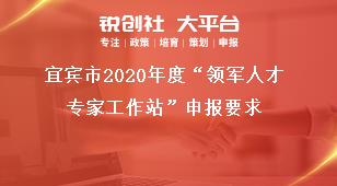 宜賓市2020年度“領(lǐng)軍人才專家工作站”申報要求獎補政策