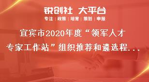 宜賓市2020年度“領(lǐng)軍人才專家工作站”組織推薦和遴選程序獎補政策