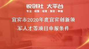 宜賓市2020年度宜賓創(chuàng)新領(lǐng)軍人才等項目申報條件獎補政策