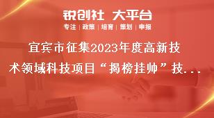 宜賓市征集2023年度高新技術(shù)領(lǐng)域科技項目“揭榜掛帥”技術(shù)需求有關(guān)事項獎補政策