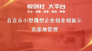 自貢市小型微型企業(yè)創(chuàng)業(yè)創(chuàng)新示范基地管理獎補政策