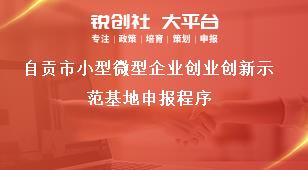 自貢市小型微型企業(yè)創(chuàng)業(yè)創(chuàng)新示范基地申報程序獎補政策