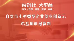 自貢市小型微型企業(yè)創(chuàng)業(yè)創(chuàng)新示范基地申報資料獎補政策